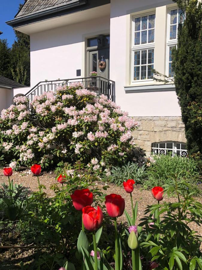 Villa Rosa - Sky Detmold Kültér fotó